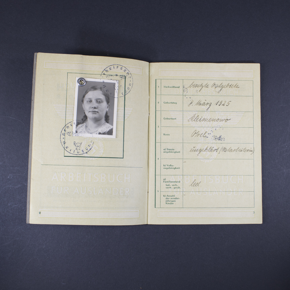 labor book for foreigners - Image 4