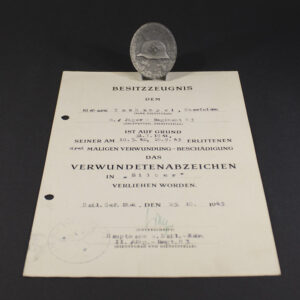 Silver wound badge with document