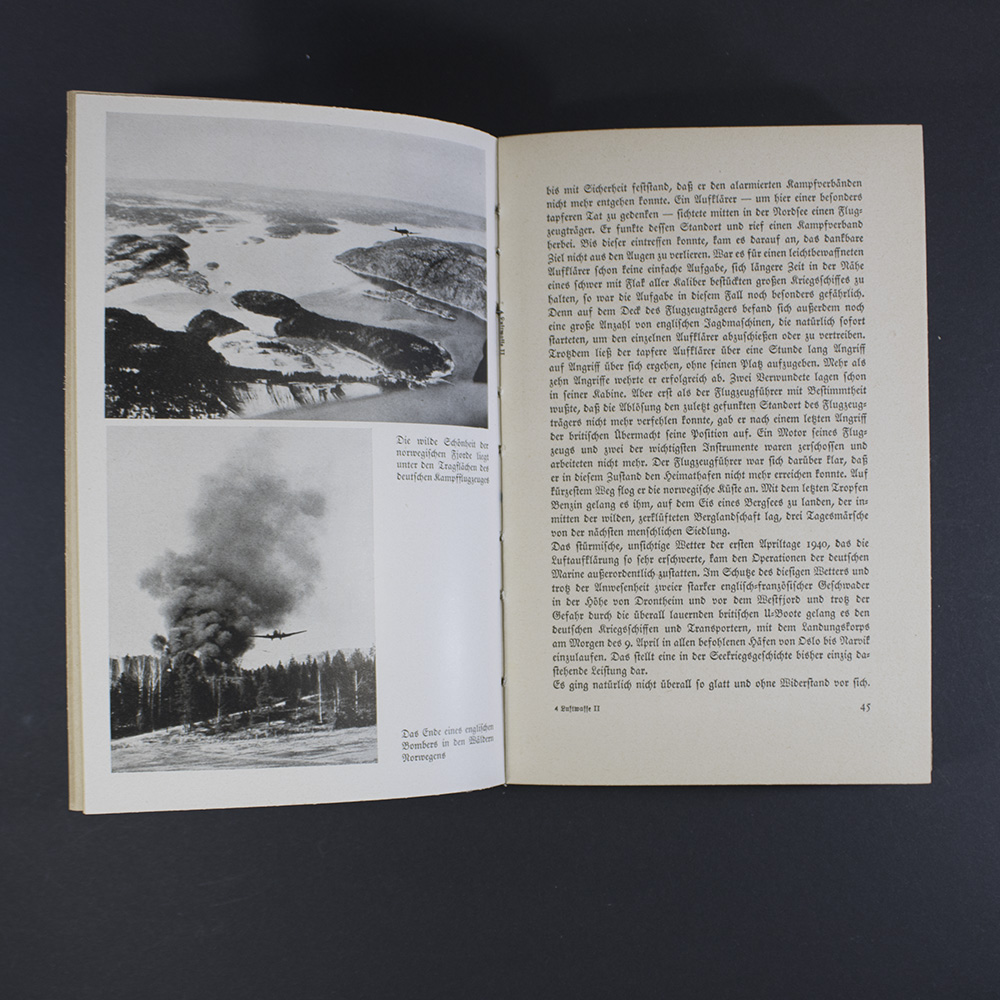 Book "Luftwaffe - von sieg zu sieg" - Image 6