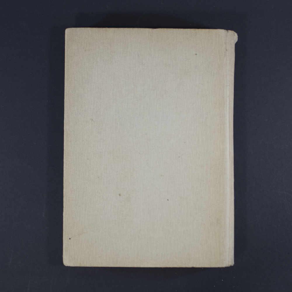 “Back cover of the book ‘Jungzug 2,’ with a plain design and publisher details printed at the bottom.