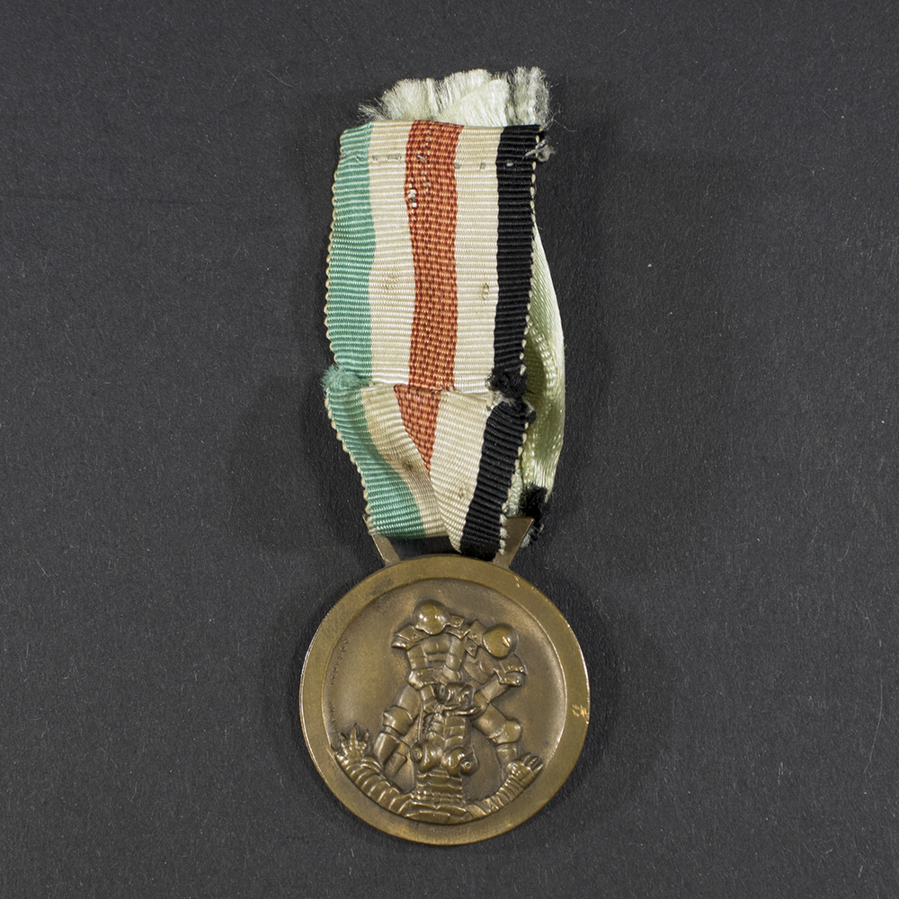 World War II Italian/German Afrika Medal displayed on a flat surface, showing the front design with palm tree and helmet motif