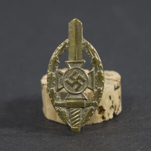 Overview of a WWII German NSKOV membership pin, showing the small metal badge with its enamel design and fastening post.