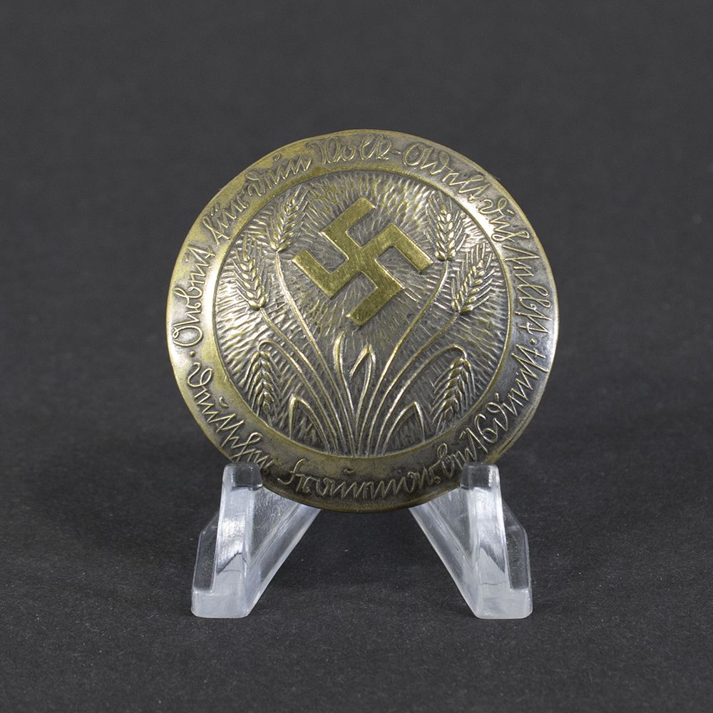 Overview of a Deutscher Frauenarbeitsdienst (DFD) membership brooch, showing the full enamel pin with its design and clasp.