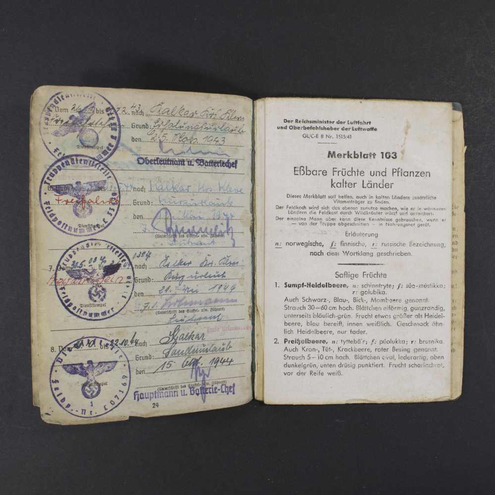 Luftwaffe soldbuch - Image 16