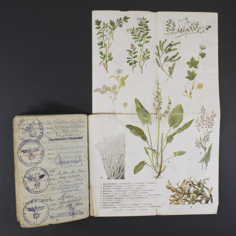 Luftwaffe soldbuch - Image 17