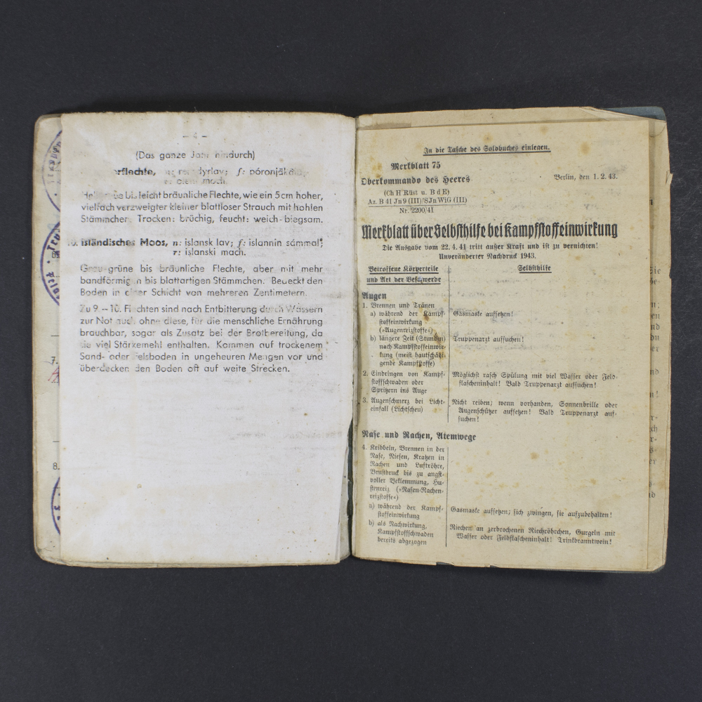 Luftwaffe soldbuch - Image 18