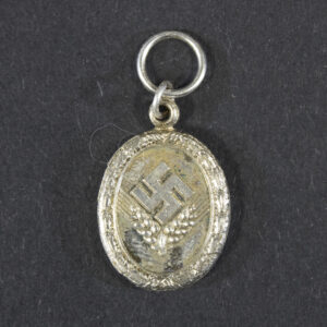 Front view of a WW2-era German 12 Year RAD (Reichsarbeitsdienst) Service Medal miniature (16 mm), showing the medal design and finish.