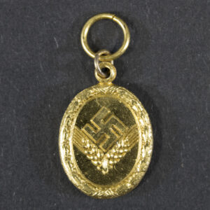 Front view of a WW2-era German 25 Year RAD (Reichsarbeitsdienst) Service Medal miniature (16 mm), showing the medal design and finish.