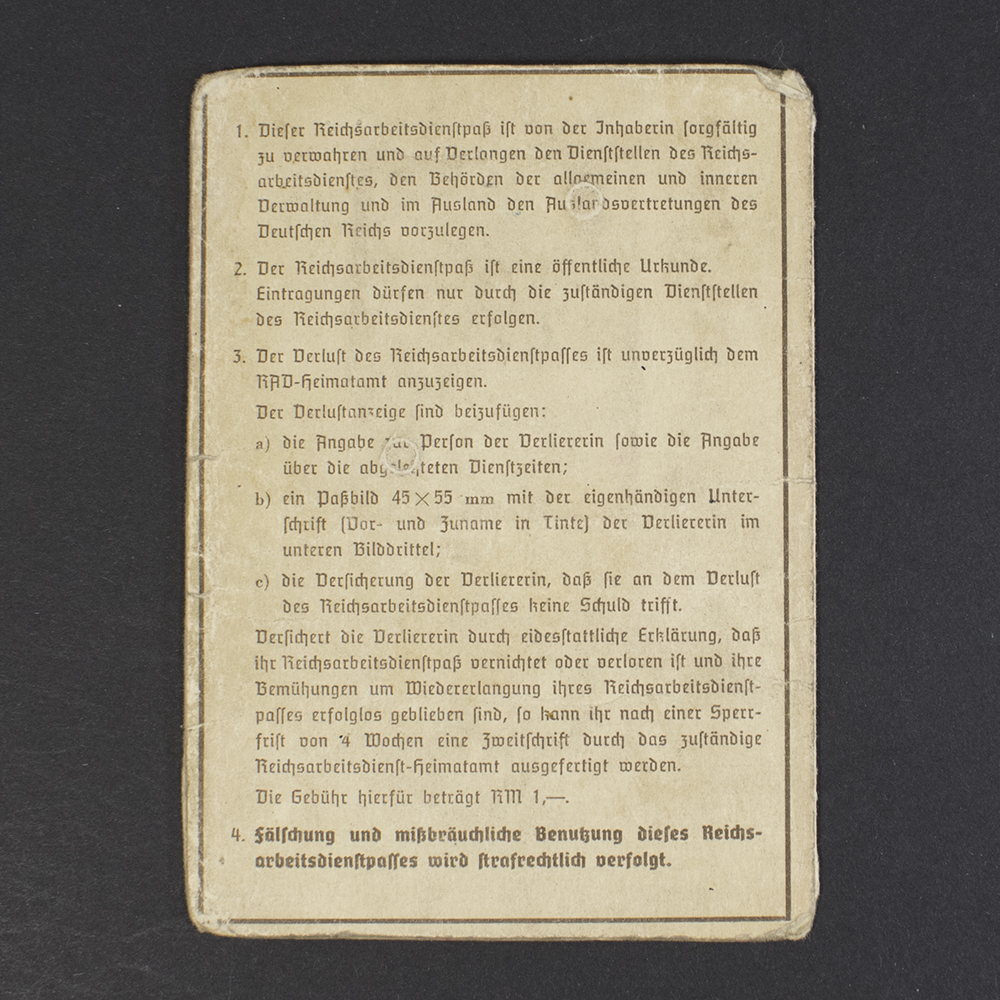 Reicharbeitsdienst pass - Image 3