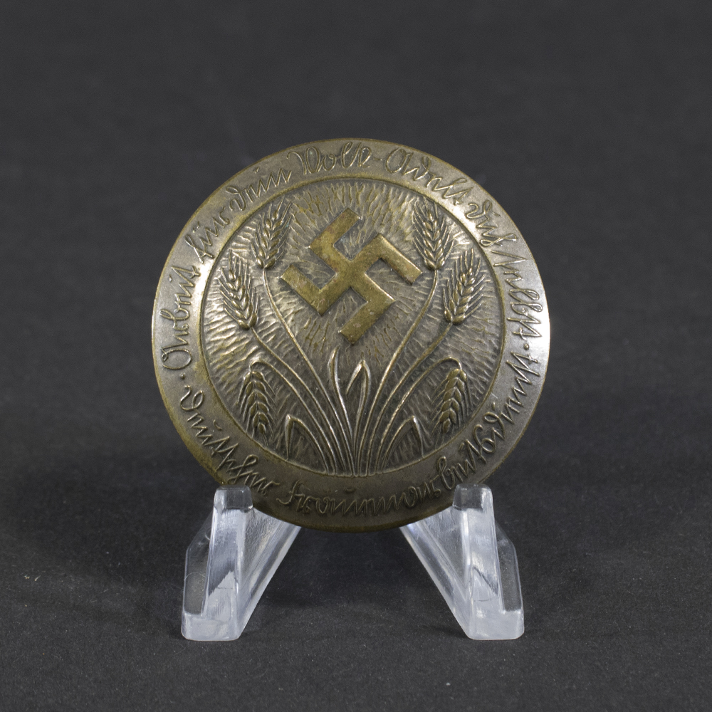 Overall view of a Deutscher Frauenarbeitsdienst (DFD) membership brooch from Nazi‑era Germany, showing the full badge design and metal finish.