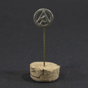 Overview of a World War II-era German SA (Sturmabteilung) membership pin displayed on a neutral background, showing its circular enamel design and overall condition.
